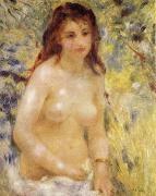 Pierre-Auguste Renoir The female nude under the sun oil painting reproduction
